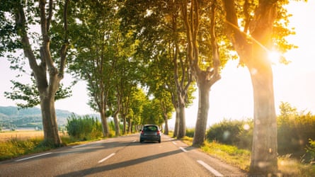 Car driving down a tree lined road into the sun in France