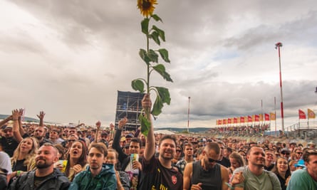 concert crowd, one with a sunflower