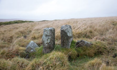 A row of ancient stones on Dartmoor.
