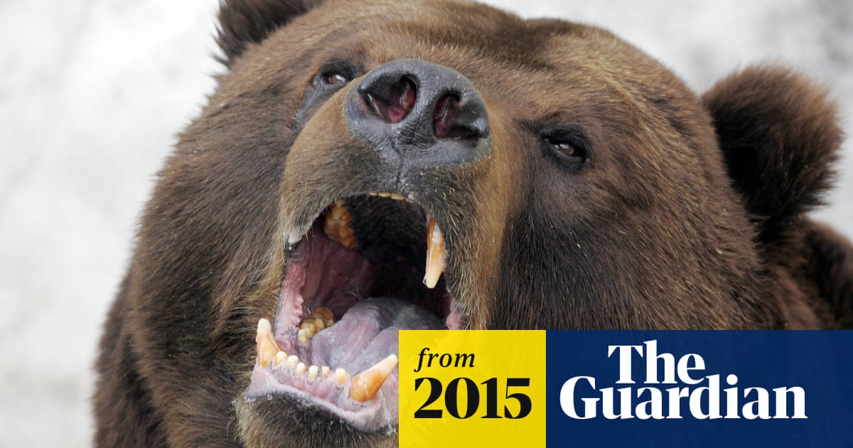 Пасть медведя фото Пасть медведя фото