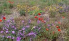 Landowners to urge environment secretary to stick with rewilding pledges
