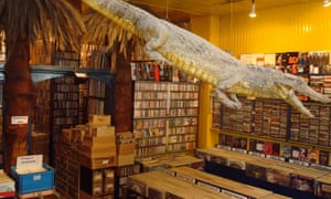 Crocodile suspended from the ceiling in Crocodisc