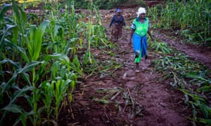 ‘I don’t know how my children will survive’: Zimbabwe in crisis