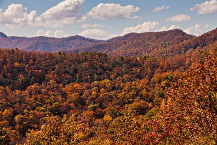 Autumn foliage near Asheville, North Carolina