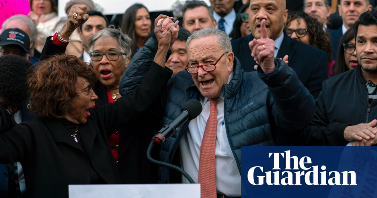 Lawmakers join protest against Musk’s attack on US spending and regulation | Trump administration Lawmakers join protest against Musk’s attack on US spending and regulation | Trump administration