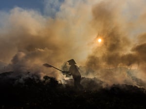 A huge cloud of smoke envelops a lotus pond in Hà Nam province, Vietnam. Workers burn dry lotus after harvest without protective equipment in very high temperatures. Smoke and weather conditions severely affect their health. They earn just $3 per day.