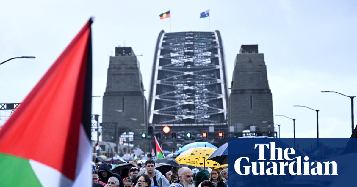 Guardian Essential poll: Australians split on recognising Palestine, many believe it would be purely symbolic