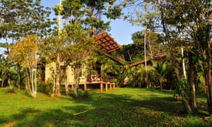 A wooden bungalow on stilts on bright green lowland tropical rainforest