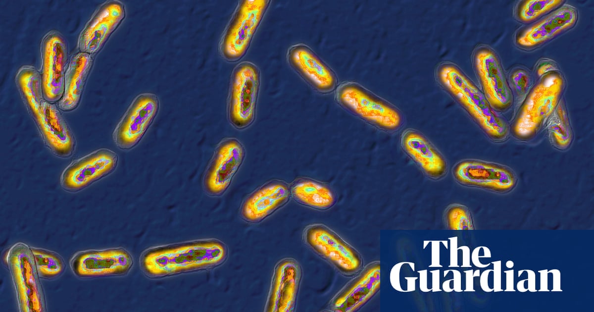 Study Finds Pathogenic Microbes Can Travel Thousands of Miles
