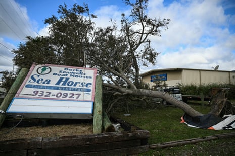 tree down behind a sign for 'sea horse general contractors'