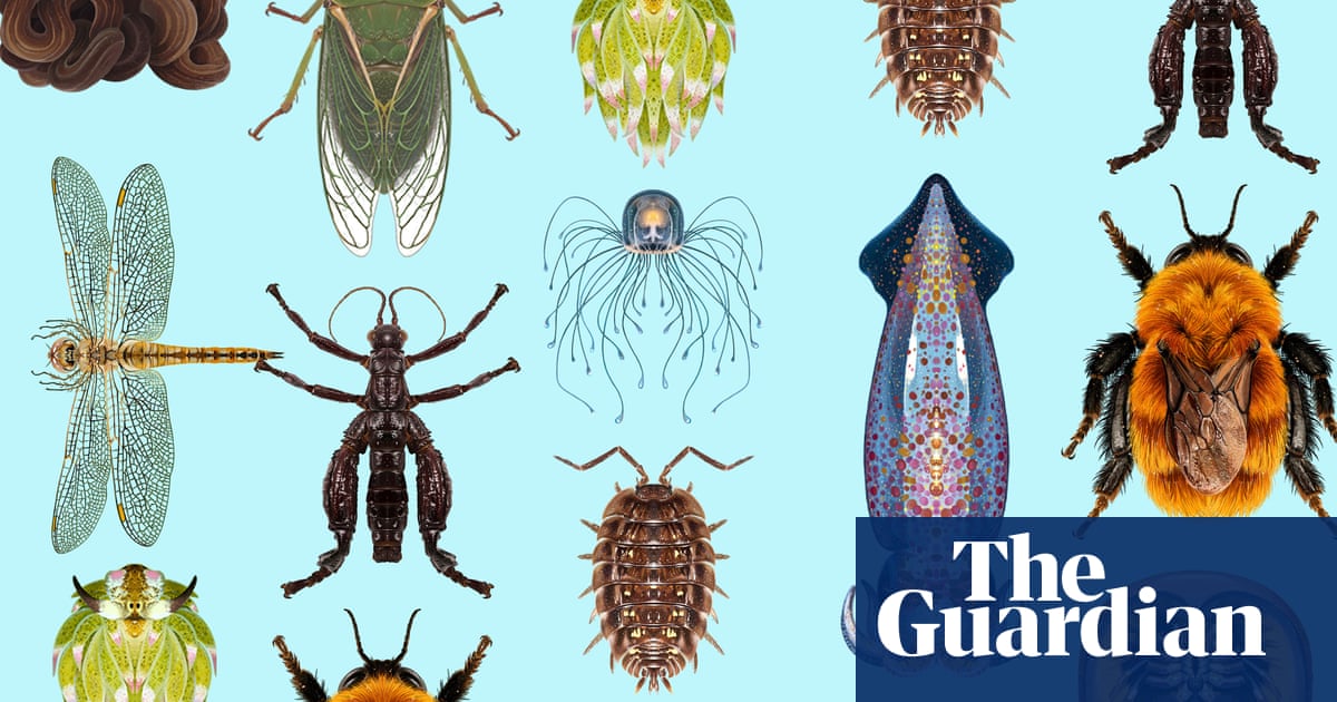 Revealed: the top 10 invertebrates of the year