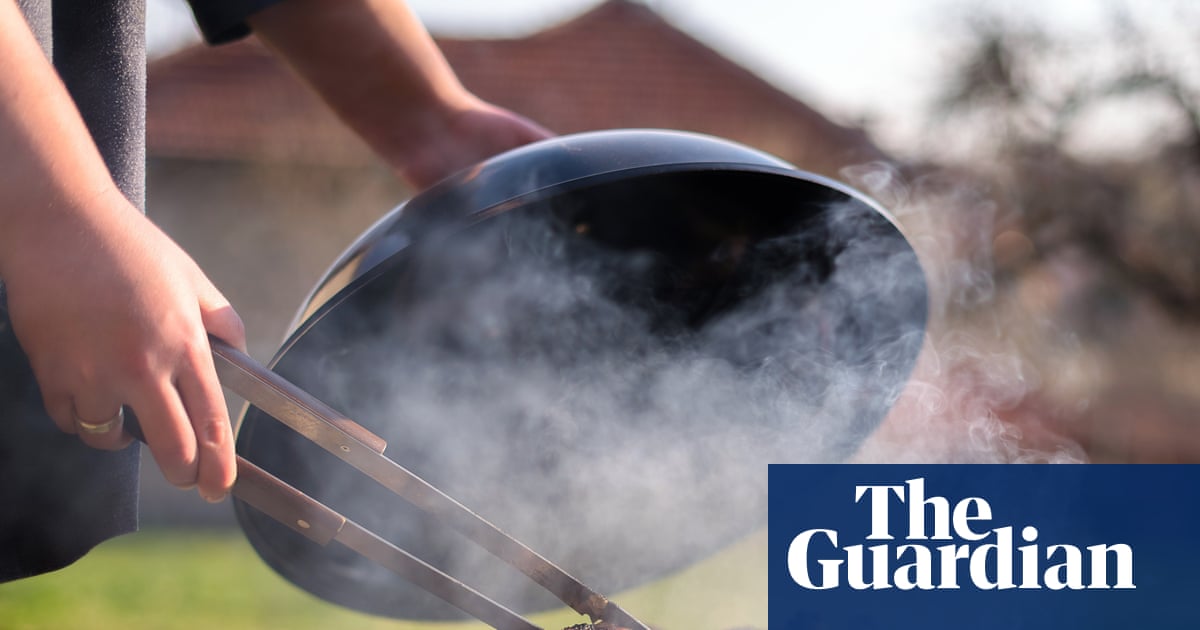 Barbecues needn’t cost you a sausage | Brief letters