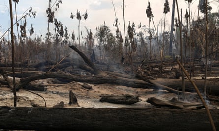 Here, a burnt area of the Amazon is seen during an operation to combat illegal logging.
