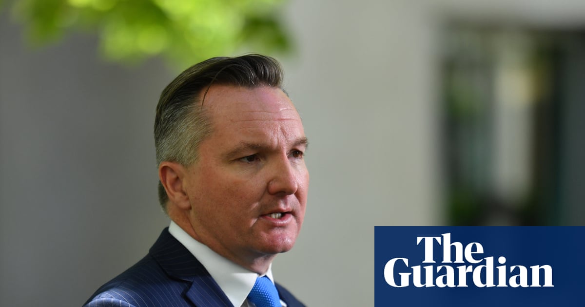Australia needs policy to deal with health effects of climate change, Chris Bowen says - The Guardian