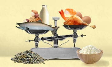 Kitchen scales with various sources of protein, including nuts, milk, fish and eggs