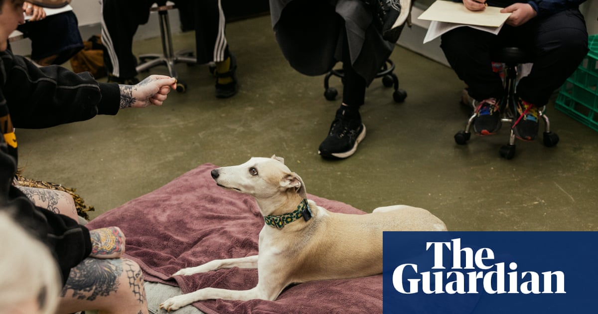 At greyhound life drawing, artists try to tackle complicated shapes