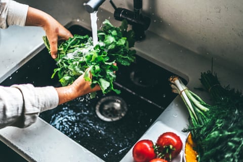 um par de mãos segura vegetais verdes folhosos sob uma torneira aberta