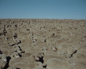 Drought in New South Wales