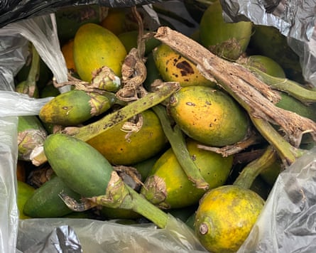 Betel nuts Betel nuts