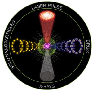 The first preclinical study of the anti-cancer technology ‘quadrapeutics’ found it to be 17 times more efficient than conventional chemoradiation therapy against aggressive, drug-resistant head and neck tumors.