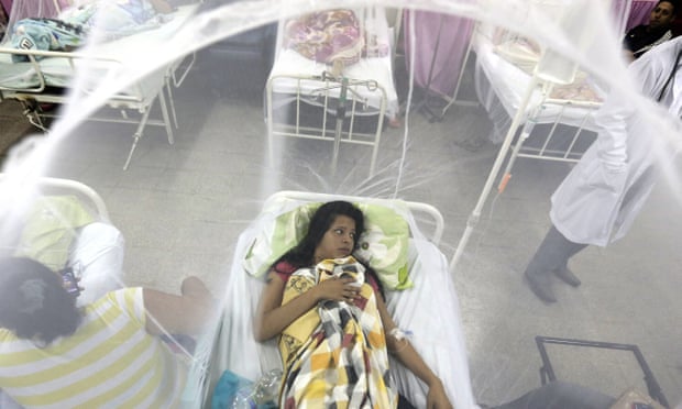 A patient protected by a mosquito net, recovers from a bout of dengue fever at a hospital in Luque, Paraguay.