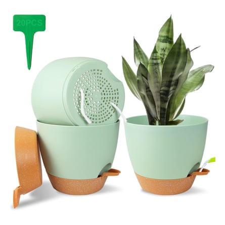 Three light green indoor self-watering plant pots, one has a green plant in it.