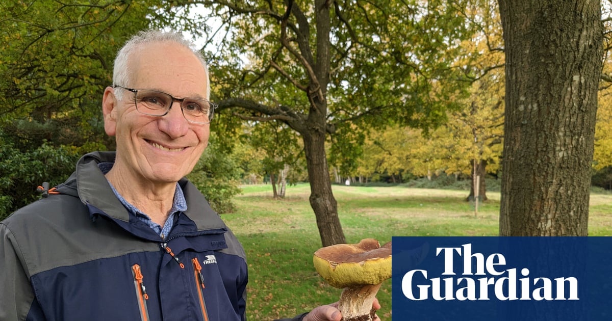 Robin Weiss obituary