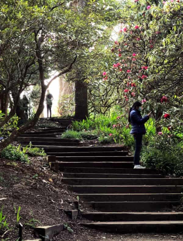 A tourist visits the San Francisco Botanical Garden in San Francisco on 8 March.