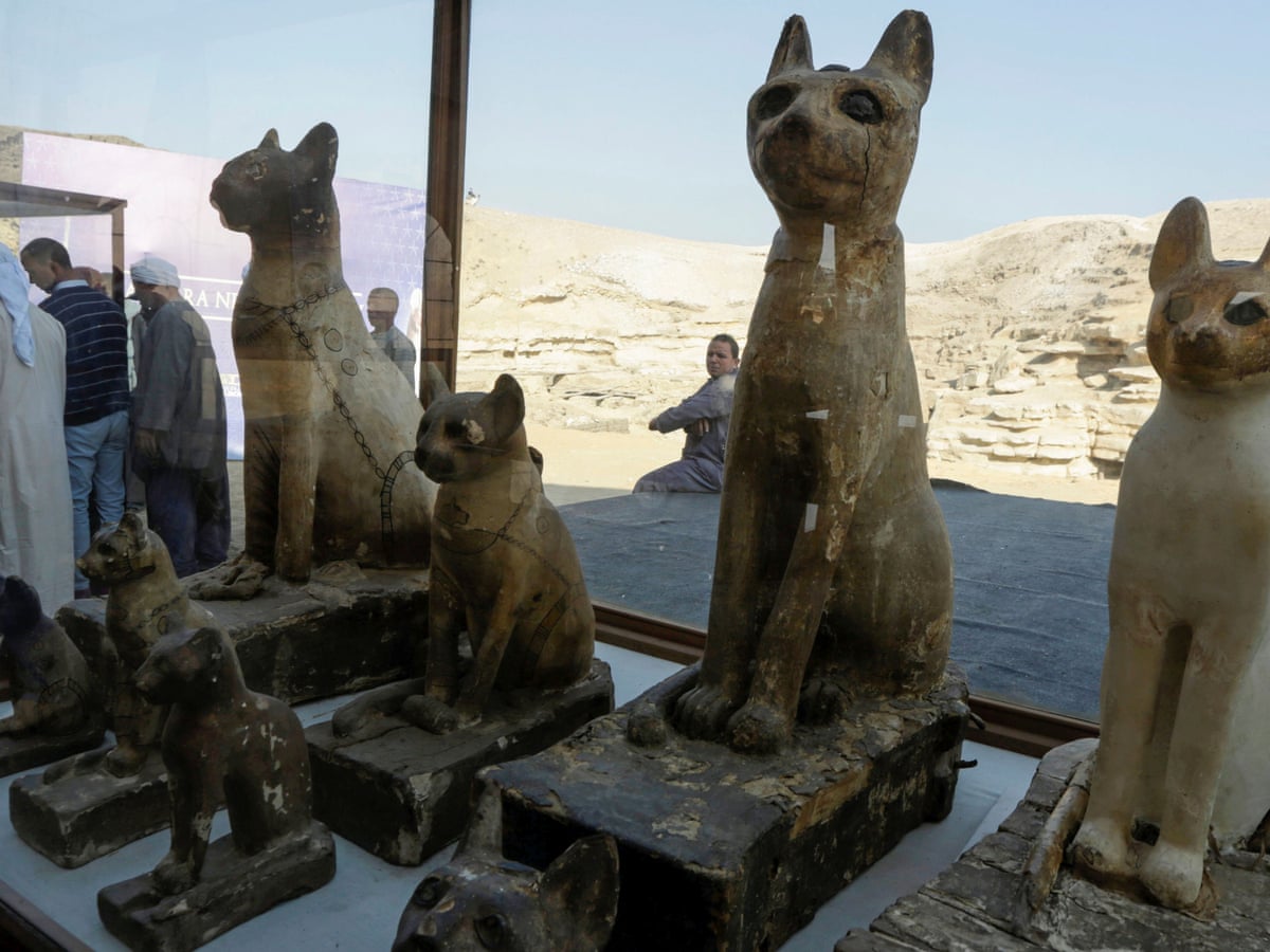 Mummified lion and dozens of cats among rare finds in Egypt | Archaeology |  The Guardian