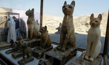Cat statues on display