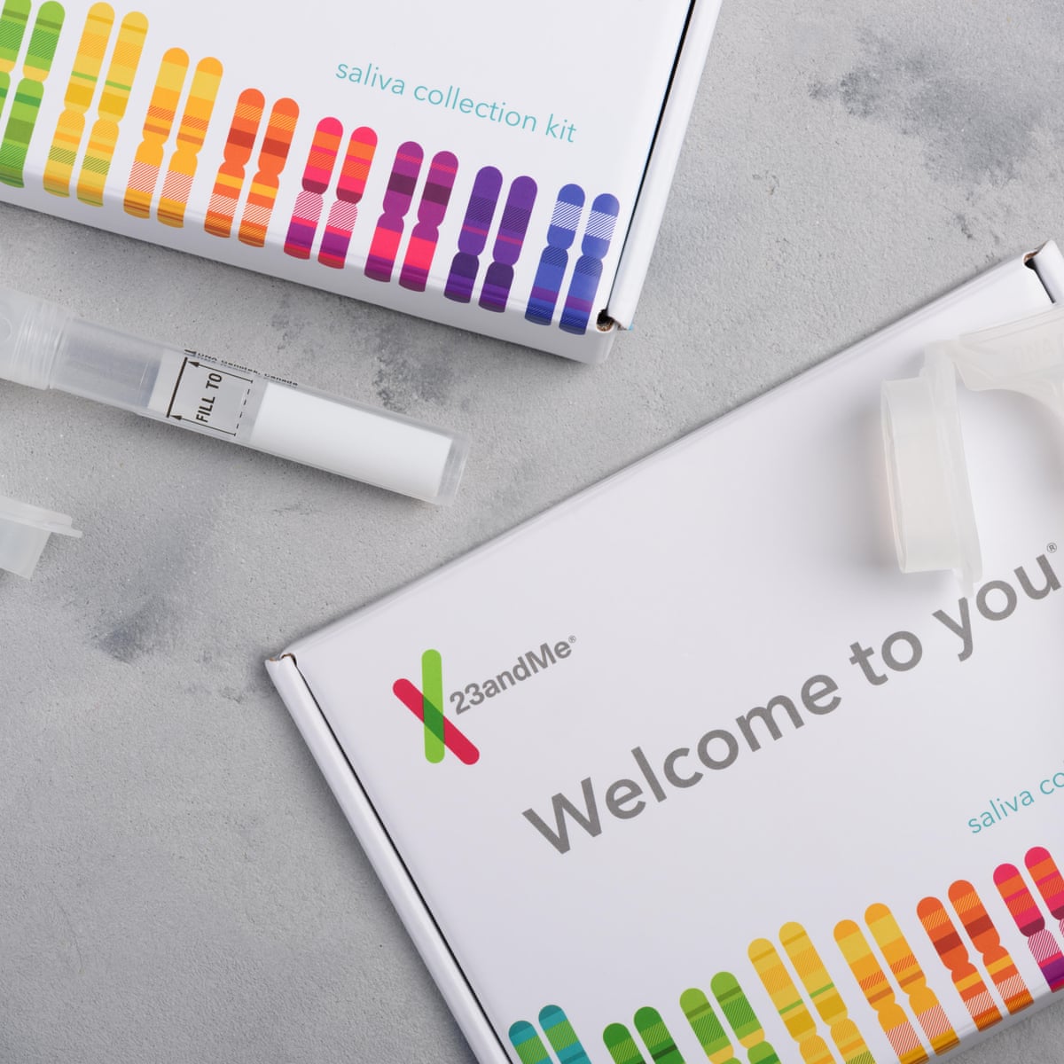 DNA testing firm 23andMe fined £2.3m by UK regulator for 2023 data hack | Technology | The Guardian