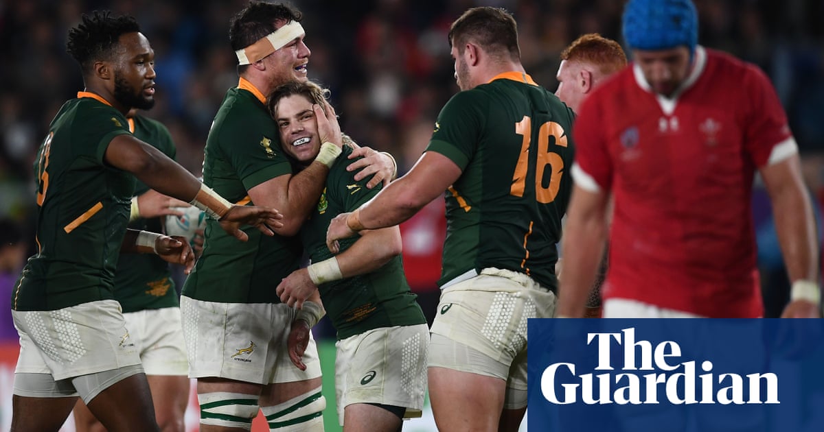 South Africa to face England in Rugby World Cup final after beating Wales