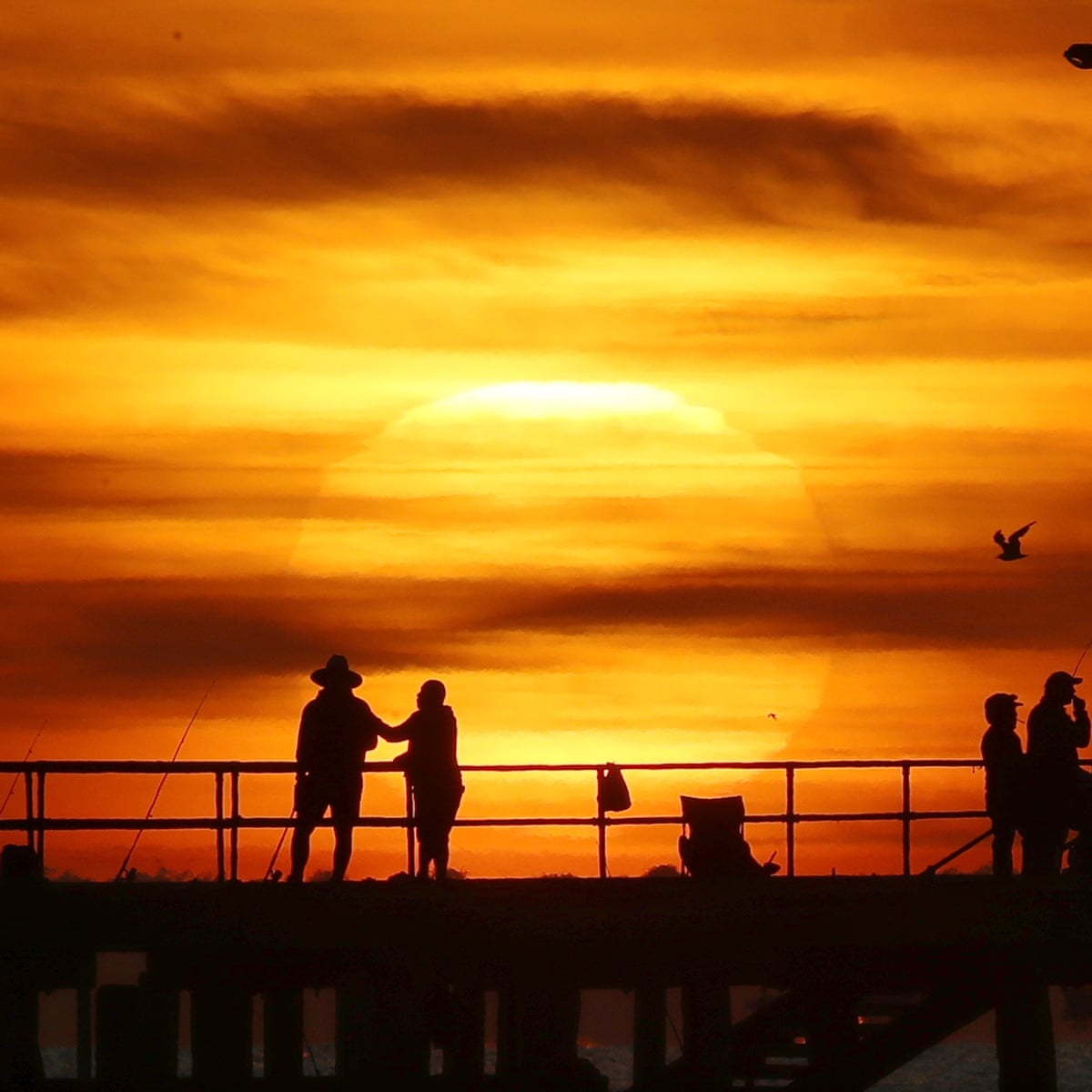 Australian Heatwave Spans Five States With High Of 49c Forecast Australia News The Guardian