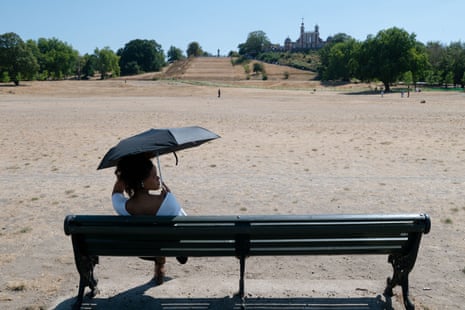 A woman sits on a bench under an umbrella in the parched Greenwich Park.