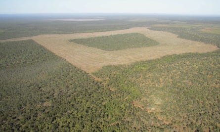 A recently re-legalised broadscale clearing in Cape York, Queensland.