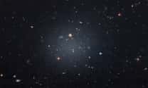 Galaxy without any dark matter baffles astronomers