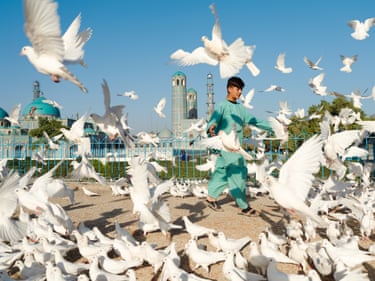 white doves scatter around a young boy on the grounds outside a large mosque
