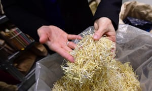 An employee shows shredded records of the Stasi, which was mainly tasked with running a vast network of informants to spy on people in East Germany.