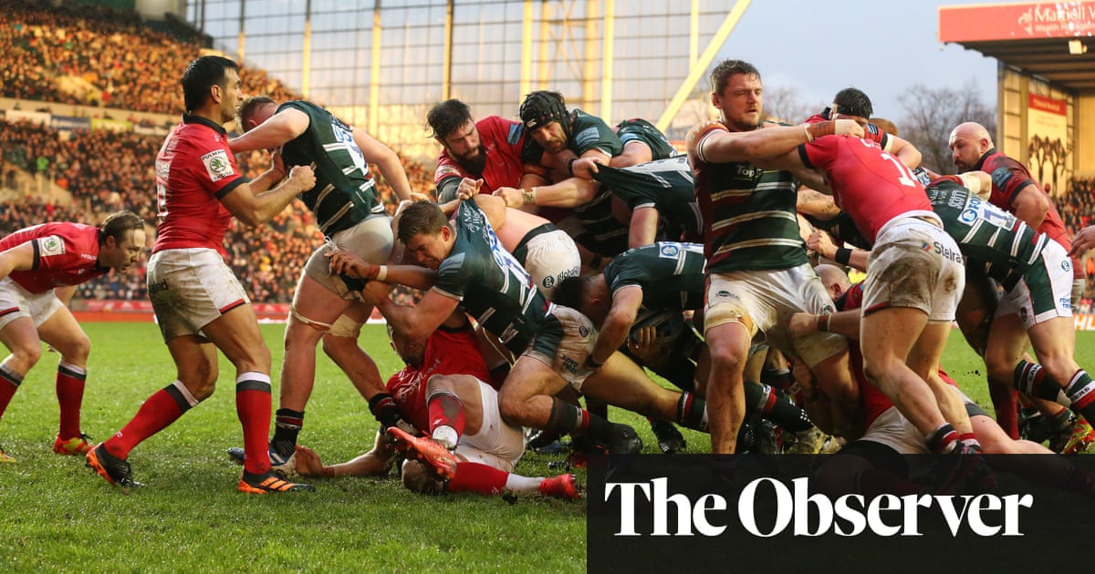 Oh crikey, it’s Leicester: Tigers out to match their own winning streak
