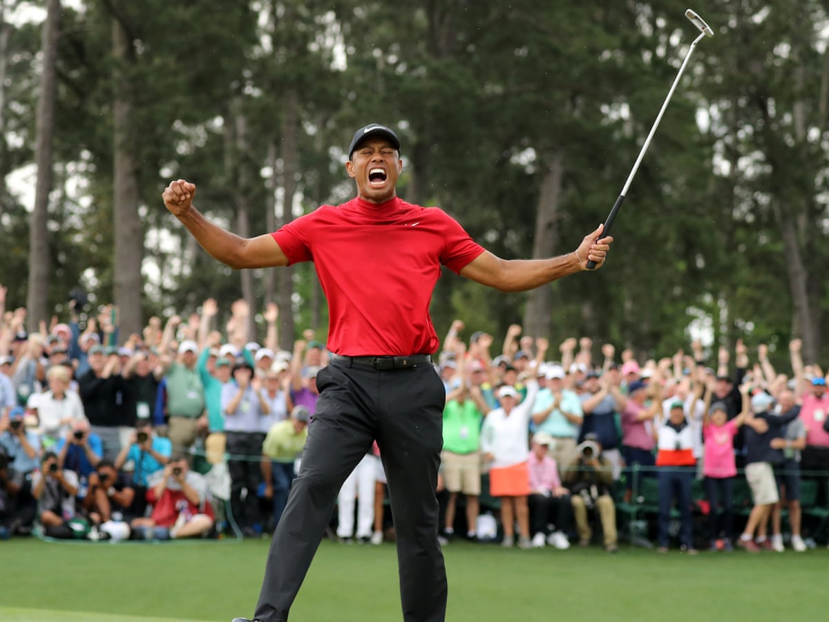 Image result for Tiger Woods