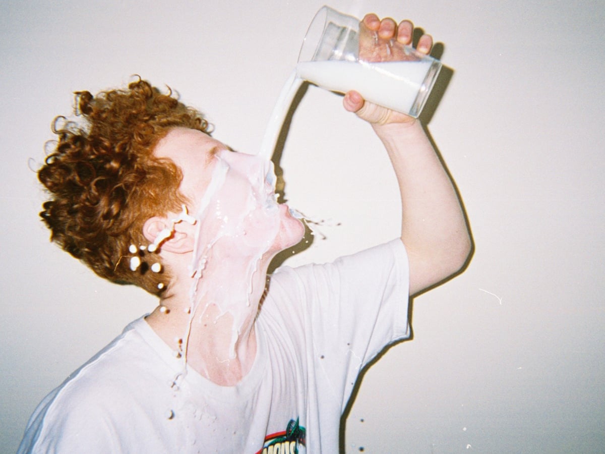 Willie J Healey People And Their Dogs Review Frisky Lo Fi Rock Pop And Rock The Guardian