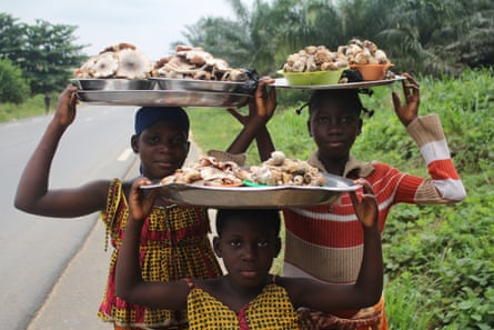 Three young children from a village in Benin walk by the side of a road balancing trays and bowls of mushrooms on their heads.