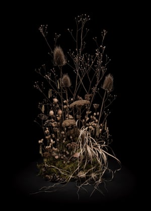 Dark Flora 8, Skeletons of the Summer, 2021these images then took on a life of their own and became kind of portraits of a locality during the different seasons providing me with another way of connecting and paying homage to the natural world. The still life images and the outdoor shots are of course lit very similarly. In many ways classical still life images influenced the lighting of the outdoors work; the chiaroscuro of lit forms emerging from a dark ground is very familiar from still life paintings and photography. Capturing the hushed, almost sacred atmosphere of the forest space is my main goal, and artificial lighting does this really well; it creates a natural pool of light which acts as a container for the space and focuses the attention.