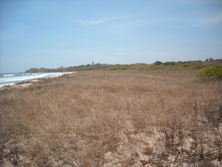 A large area of brown grass leading to the sea.
