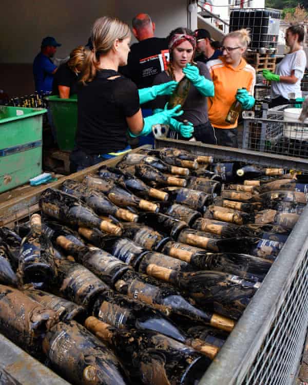 Flutwein wird im Raum Mayschoß erforscht.