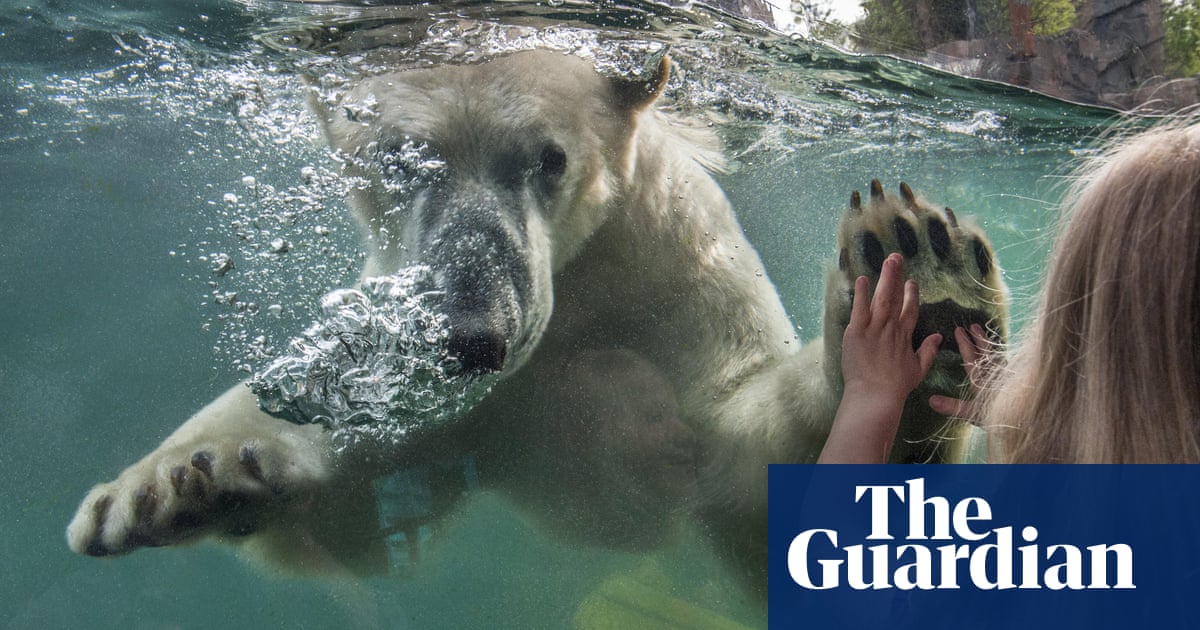 Have zoos had their day? | Architecture | The Guardian