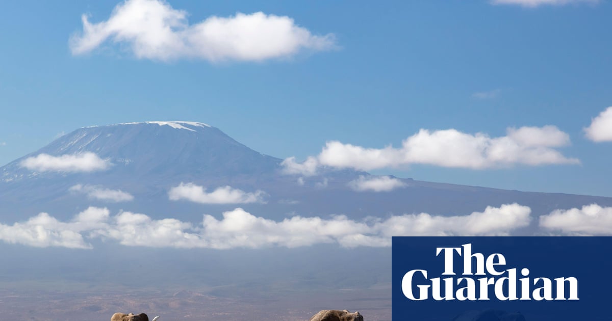 Kenya investigating unexpected deaths of 15 elephants in national park