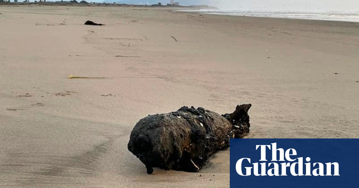 Последните бури измиха ръждясало устройство по крайбрежието на Pajaro Dunes