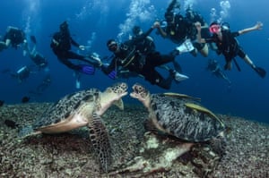 Man and nature category runner-up: Fighting No Matter What