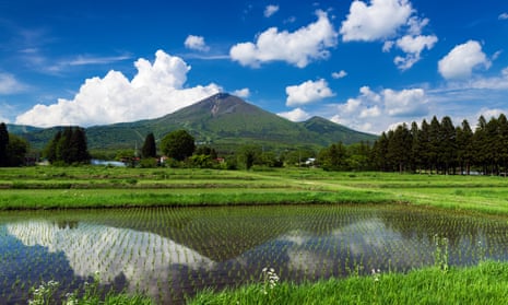 Rice paddy, with Mount Bandai on the background